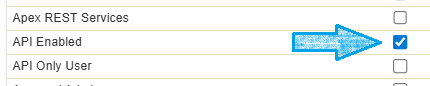 Salesforce permission list highlighting API Enabled.